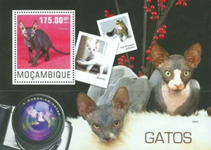 MOZAMBIQUE - 2014 MONTADO "Nuestros amigos domésticos - GATOS"" ¡Dos hojas de recuerdos!¡!¡! - Imagen 1 de 2