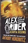Alex Rider Mission 9 Scorpia Rising Paperback Jan 01 2017 Books Wagon Boo