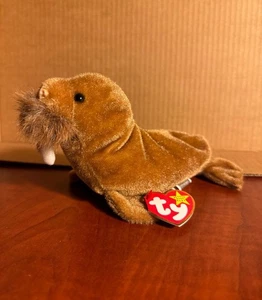 Neu mit Etikett Ty Beanie Baby Walross Paul - Bild 1 von 1