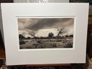 John Reef Signed Limited Photograph Atacama Desert Series Rio San Pedro Chile !! - Picture 1 of 20