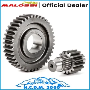 Gear Secondary Malossi Z 15/41 Aprilia Sr Gt 125 Ie 4T LC 2022- - Picture 1 of 4