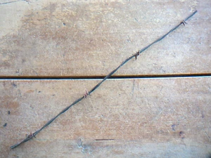 CURTIS HALF ROUND FOUR POINT RED BARB on ONE of TWO LINES - ANTIQUE BARBED WIRE - Picture 1 of 4