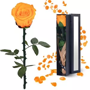 Preserved Flowers Gifts for Women Christmas Mothers Day Birthday Anniversary ... - Picture 1 of 6