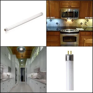 F8T5 Flourescent Light, Bulbs White 4100k 8 Watt Tube Bulb - 12 inches Bulb - Picture 1 of 6