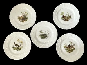 Queens Rosina China Co Fine Bone China England Wildlife Salad Plates Set Of 5 - Picture 1 of 10