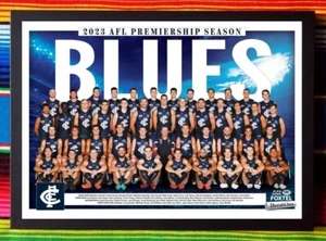 Framed 2023 CARLTON BLUES AFL Poster - 45cm x 32cm x 3cm - Picture 1 of 4