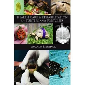 Health Care and Rehabilitation of Turtles and Tortoises Disease Injury - Foto 1 di 1