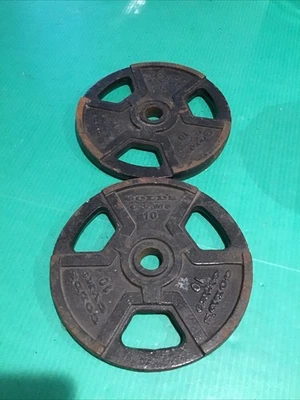 Lote de 2 placas de barra Gold's Gym Barbell estándar 10 lb placa de agarre de peso 1" Foto 1 de 4