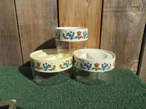Vintage 1975 Set of 3 Corningware Pyrex Country Festival Blue Bird Canisters - Picture 1 of 19