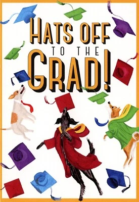 Caspari HATS OFF TO THE GRAD Graduation Card, Dogs by Masaki Ryo KOKO + Envelope - Image 1 of 4