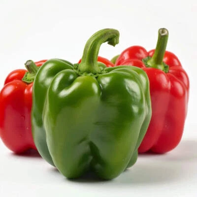 50 Graines de Poivron California Wonder - Photo 1/3