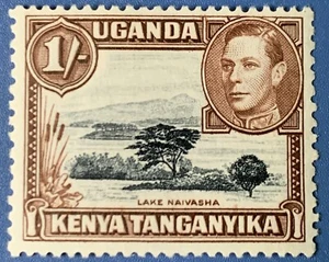 KUT 1938-54 1/-Black & brown SG145a Perf 13 x 13¾ Mint Cat £23 - Picture 1 of 2