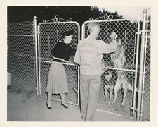BETTE DAVIS Original CANDID Dog Kennel Vintage 1930s Press Snapshot Photo