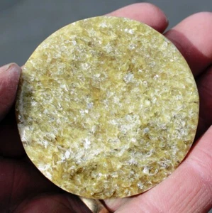 Rare Golden Lepidolite Disc • 2.25" diameter - Picture 1 of 8