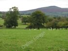 Photo 6x4 Sheep on Sutton Hill Hoptongate The sandstone upland plateau be c2010