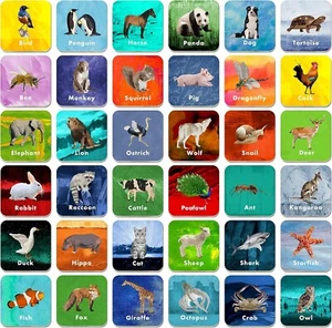 Animal Educational Toys Gift Montessori Boost Memory Matching Game 72 Cards Gift - Picture 1 of 9