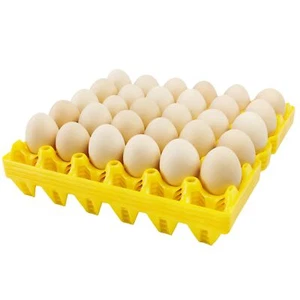 4-Pack Plastic Egg Tray Egg Crates 30-Egg Flats for Home Chicken Farmers Stac... - Picture 1 of 6