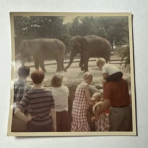Vtg 1970s Zoo Elephants People Children Color Snapshot Photo Habitat - Picture 1 of 11