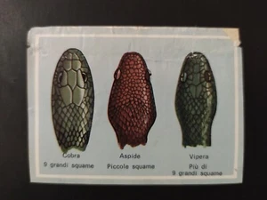 FIGURINA VITA E COLORE ED. MODERNA 1969 n. 98 OTTIMA DA RECUPERO - Bild 1 von 2