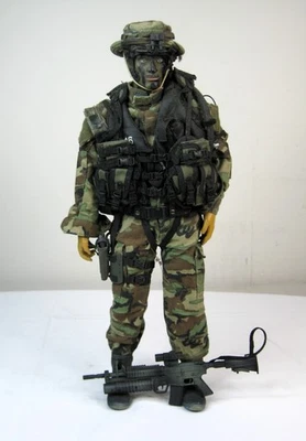 Hot Toys DID Dragon 1:6 US Special Forces Figure - Image 1 of 4