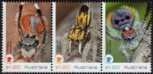 Tira de 3 estampillas de arañas pavo real de Australia 2023 como nuevas nunca bisagras, limpias - Imagen 1 de 1