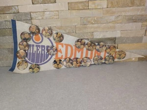 VINTAGE EDMONTON OILERS PENNANT & RONALD MCDONALD HOSUE PINS GRETZKY FURR - Foto 1 di 6