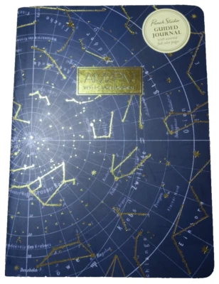 Punch Studio Guided  Journal Astrological Stars Space Blue & Gold ~208 pages ✅ - Image 1 of 4