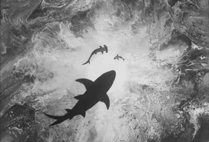 Sea Creatures - 'I Dream of Sharks' - Picture 1 of 1