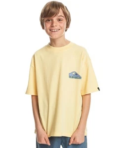 Quiksilver Kids Take Us Back Short Sleeve Crew Neck T-Shirt Top Tee - Picture 1 of 9