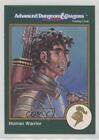 1993 TSR Advanced Dungeons & Dragons D&D 2ème édition or guerrier humain #286 1k3