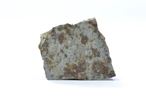 Meteorite DHURMSALA - Chondrite LL6 - fell 1860 in India - part slice - 6.21 g - Picture 1 of 11