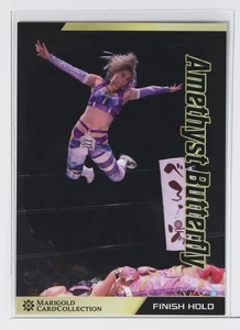 KOUKI AMAREI No.120 - Tarjeta de colección MARIGOLD de lucha libre profesional para mujer - Imagen 1 de 3