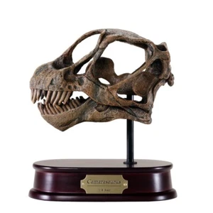 Camarasaurus Dinosaur Skull Model 1/4 Scale Replica by DinoStoreus - Picture 1 of 1