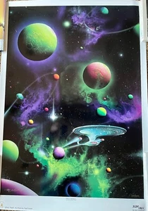 Litografia firmata Michael David Ward Star Trek ""Segni di intelligenza"" 255/1950 - Foto 1 di 12