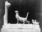 Fremiet Emmanuel Sculptor France sculpture "Cats" 1911 Historic Old Photo