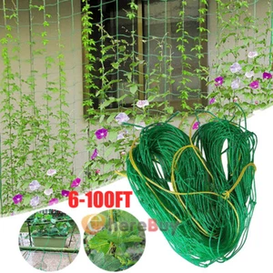 Garden Plant Climbing Net Trellis Netting Mesh Support Fruits Vine Veggie Bean - Picture 1 of 32