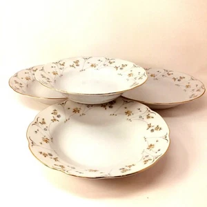 4 Premiere Briarwood ME212 Soup Bowls Floral Design with Gold Trim 8 3/4" - Imagen 1 de 8