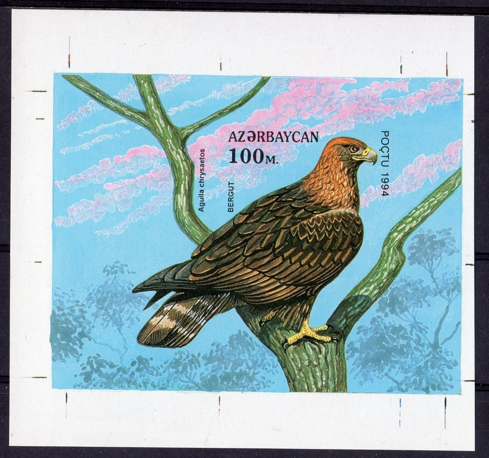 Azerbaiyán 1994 Sc#463 AVES DE ORACIÓN-AGUILA CHRYSAETOS Hoja de recuerdo IMPERF.MNH Foto 1 de 1