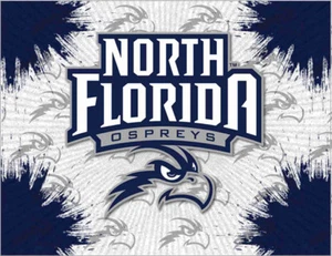 NCAA - North Florida Logo Canvas College Team Logo - Imagen 1 de 1
