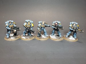 オールノット Pro painted space wolves ウォーハンマー 40k