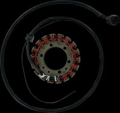 Generador Estator Alternador Ricks Kawasaki Ninja ZX12R 00-01 Foto 1 de 4