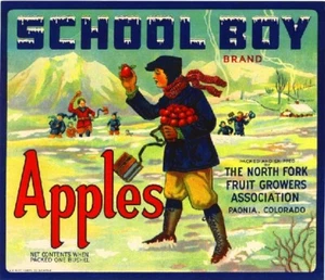 Paonia Colorado School Boy Apple Fruit Crate Label Vintage Art Print - Picture 1 of 1
