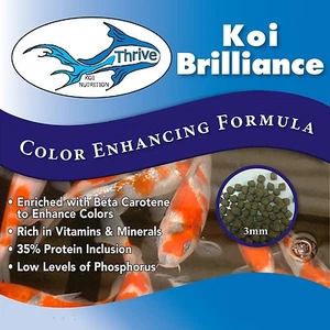 Anjon Thrive Koi Brilliance All Seasons Color Enhancing Koi Food - Picture 1 of 1