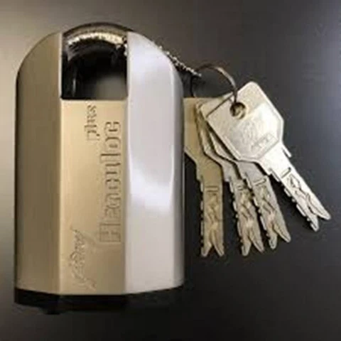 Godrej Herculoc keyed padlock for front door shop shutter heavy Cover