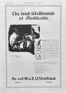 1928 Ad The Irish Wolfhounds OF Ambleside L O Starbuck Augusta MI 10 X 14 Inches - Picture 1 of 1