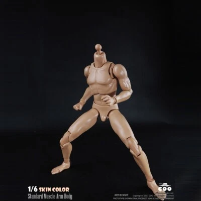 COOMODEL 1/6 Standard Muscle Arm 12inch Male Action Figure Body PVC Toys BD008 — 第 1/4 张图片