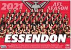 Essendon Bombers Team Poster, Afl Football,Sydney Swans,Geelong Cats,Pies Book