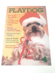Vintage Spielhund lustige Hund Weihnachten Postkarte - Bild 1 von 6