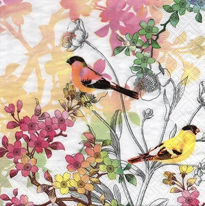 4 lose Servietten Motivservietten Decoupage Fantasie Vögel (1400) - Bild 1 von 1