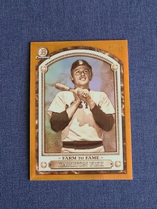 2020 Bowman Chrome Boston Red Sox Carlton Fisk Farm To Fame Case Hit #12/25